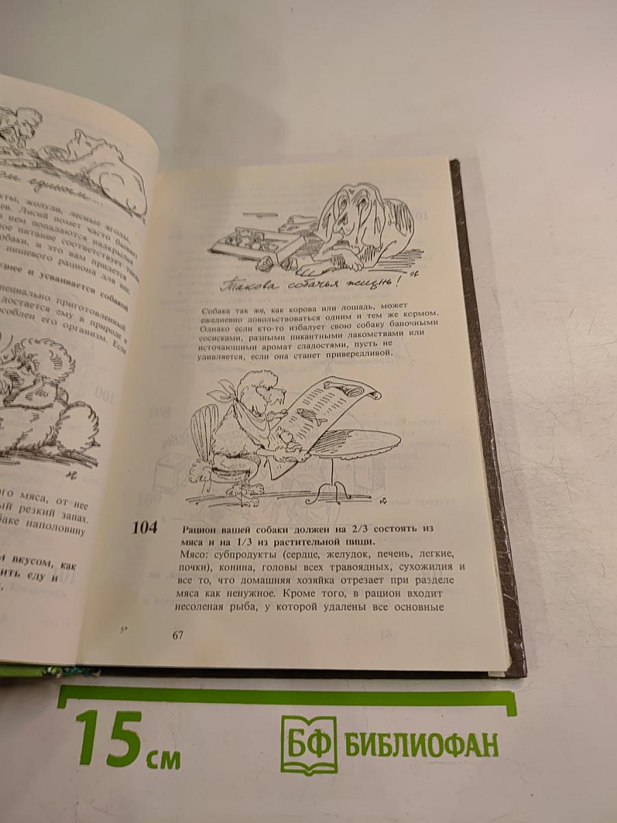 400 советов любителю собак