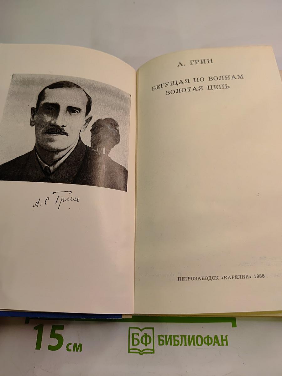 Бегущая по волнам. Золотая цепь