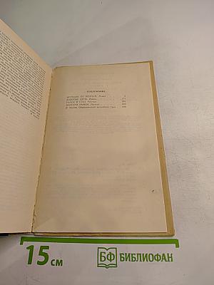 Бегущая по волнам. Золотая цепь