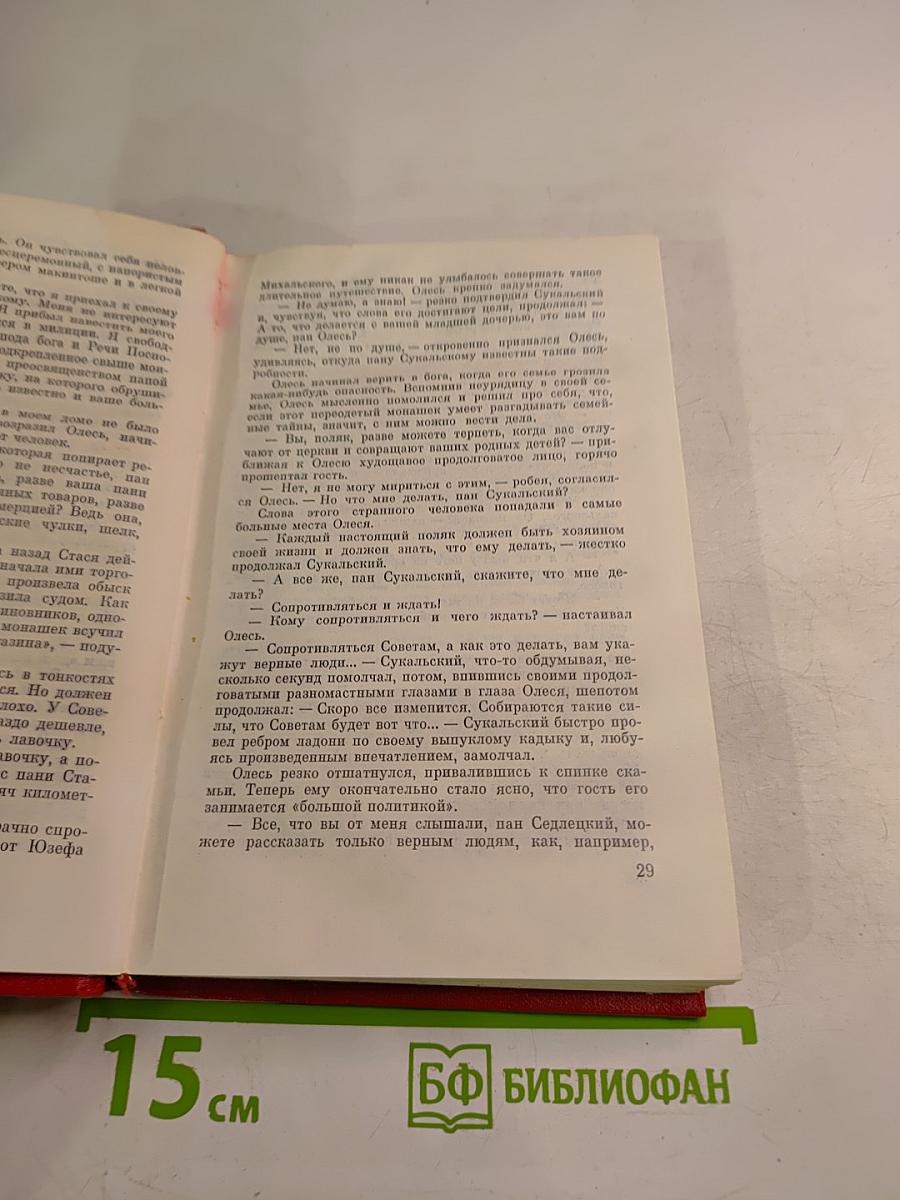 В Августовских лесах