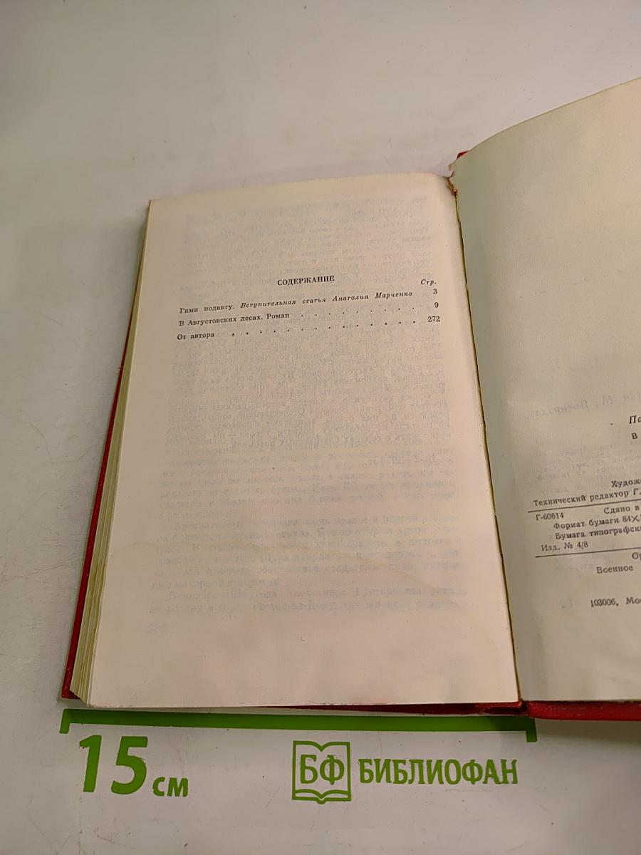 В Августовских лесах