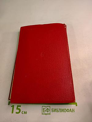 В Августовских лесах