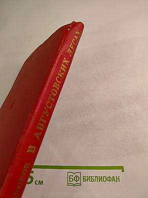 В Августовских лесах