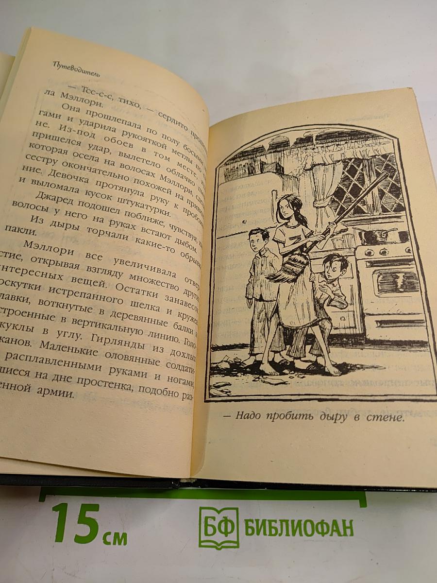 Спайдервик. Хроники. Таинственная находка. Книга первая из пяти