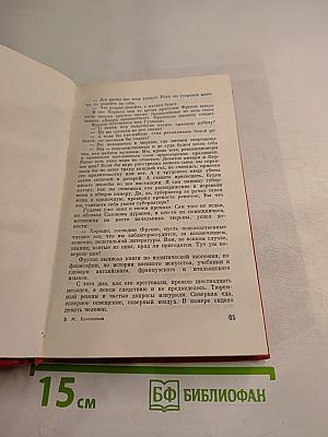 Все ураганы в лицо