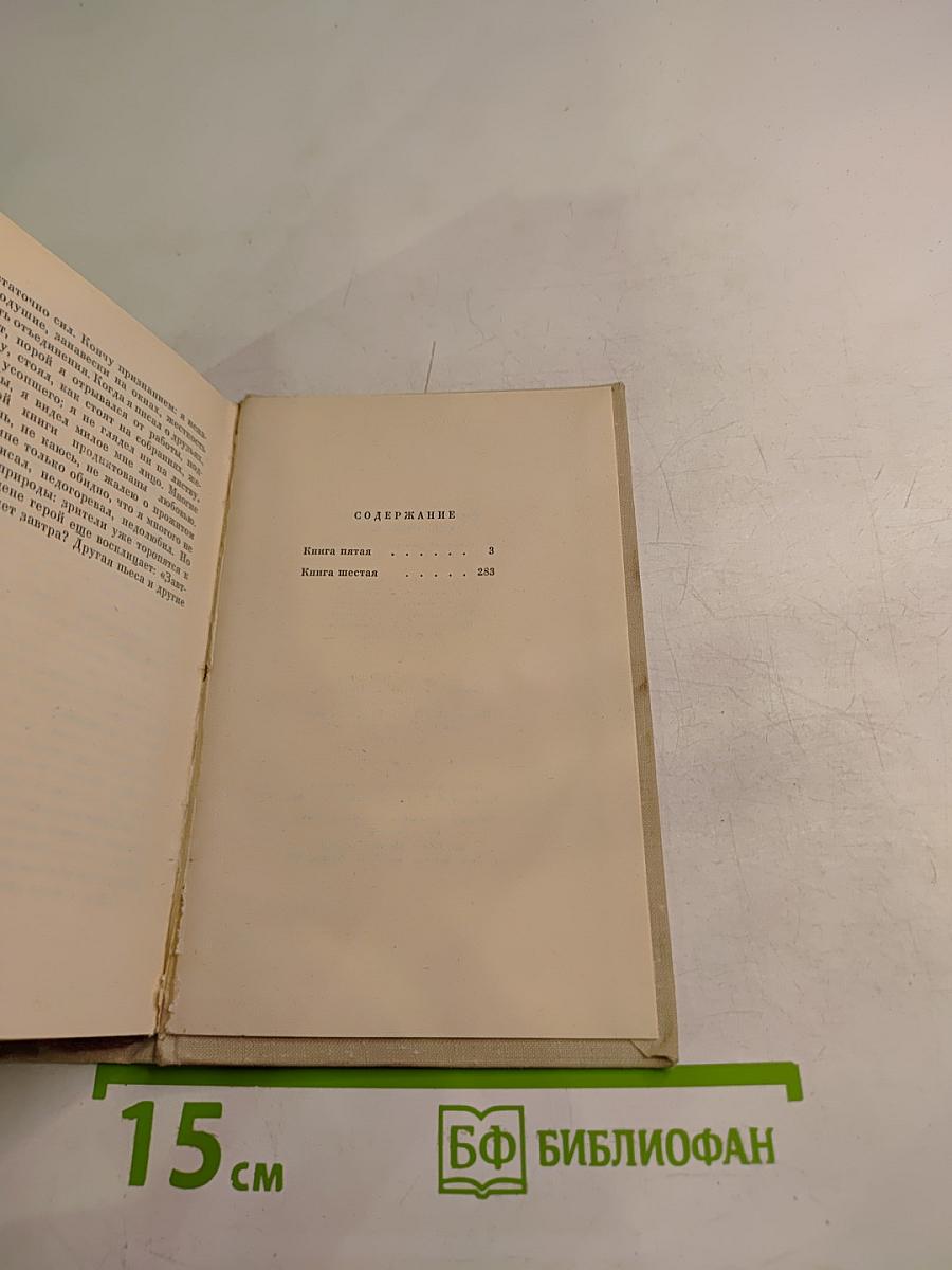 Люди, годы, жизнь. Книга пятая и шестая