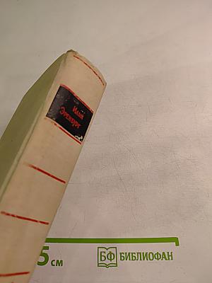 Люди, годы, жизнь. Книга пятая и шестая