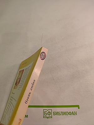 Огонь любви