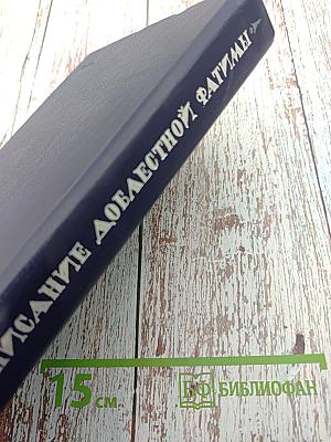 Жизнеописание доблестной Фатимы и повествование о подвигах ее славных предков