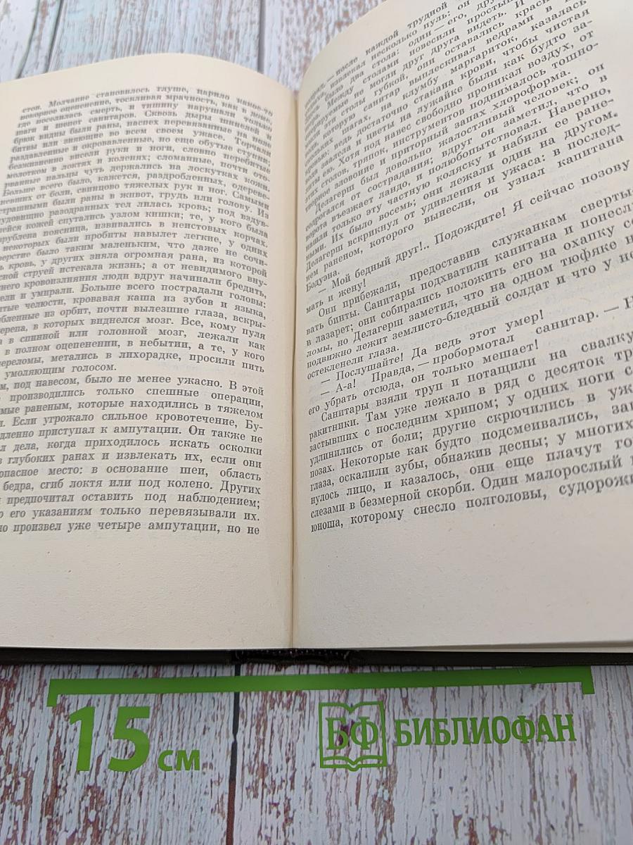 Собрание сочинений. Том пятнадцатый. Разгром