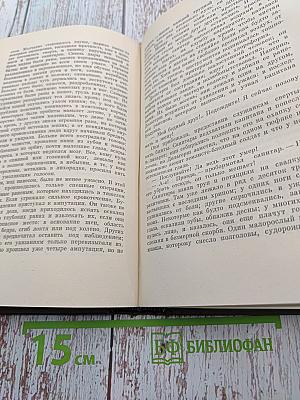 Собрание сочинений. Том пятнадцатый. Разгром