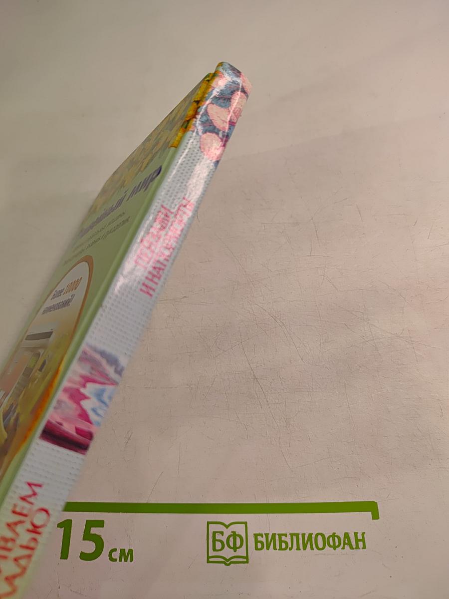 Пейзажи и натюрморты. Вышиваем гладью