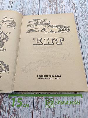 Кит