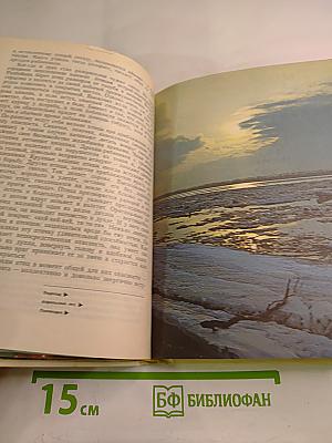 Встречи с природой