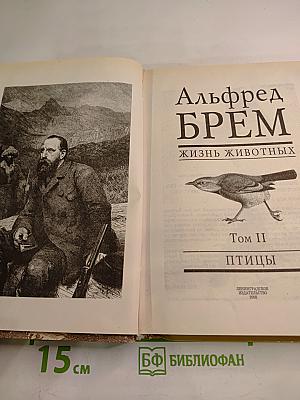 Жизнь животных. Том II. Птицы