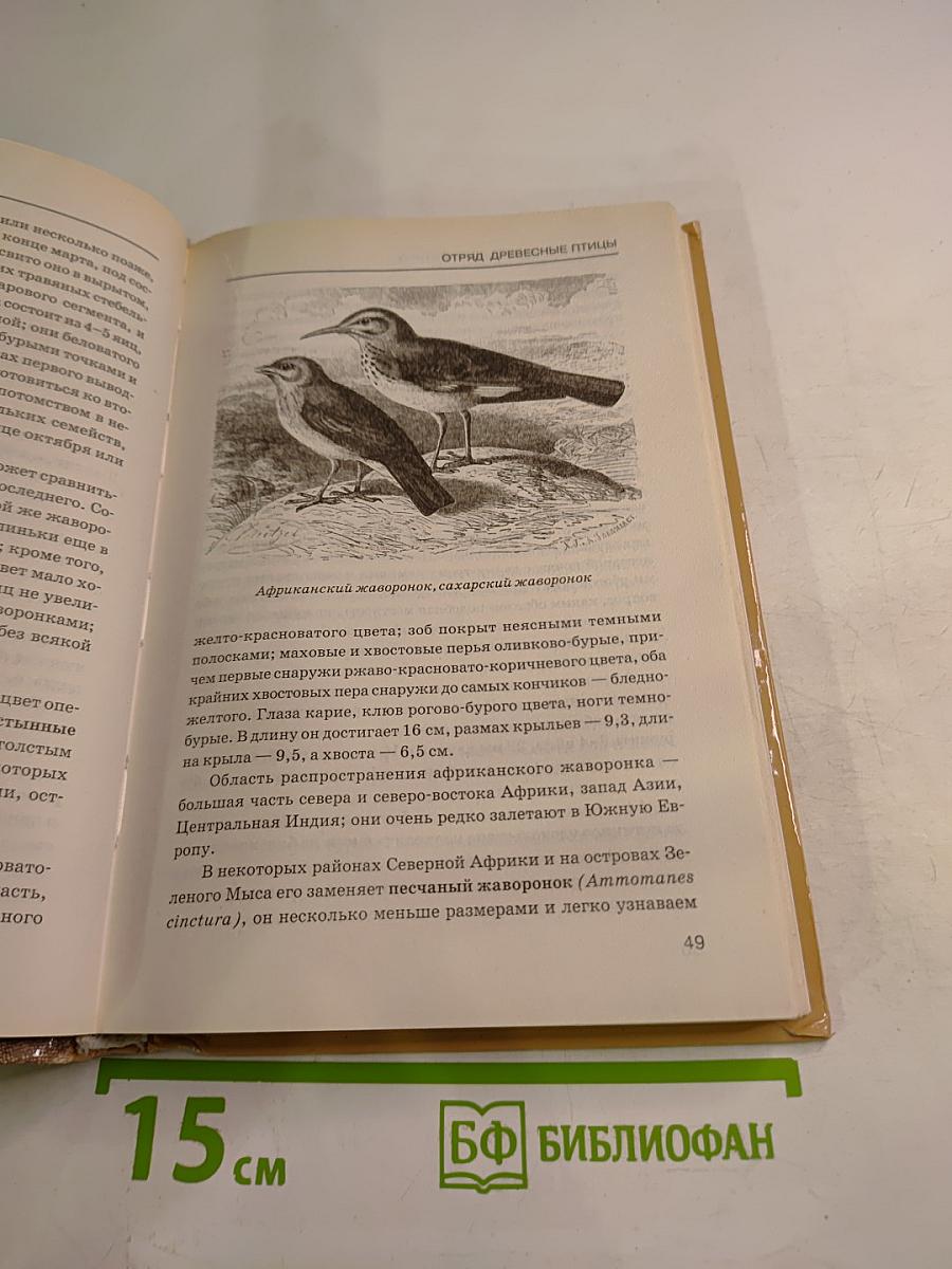 Жизнь животных. Том II. Птицы