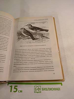 Жизнь животных. Том II. Птицы