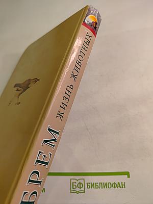 Жизнь животных. Том II. Птицы