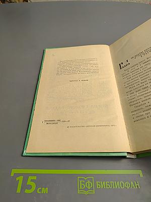 Тайна старого Радуля