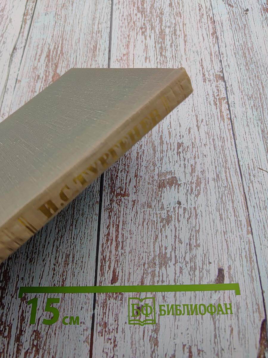 Собрание сочинений. Том седьмой. Повести и рассказы 1862-1870