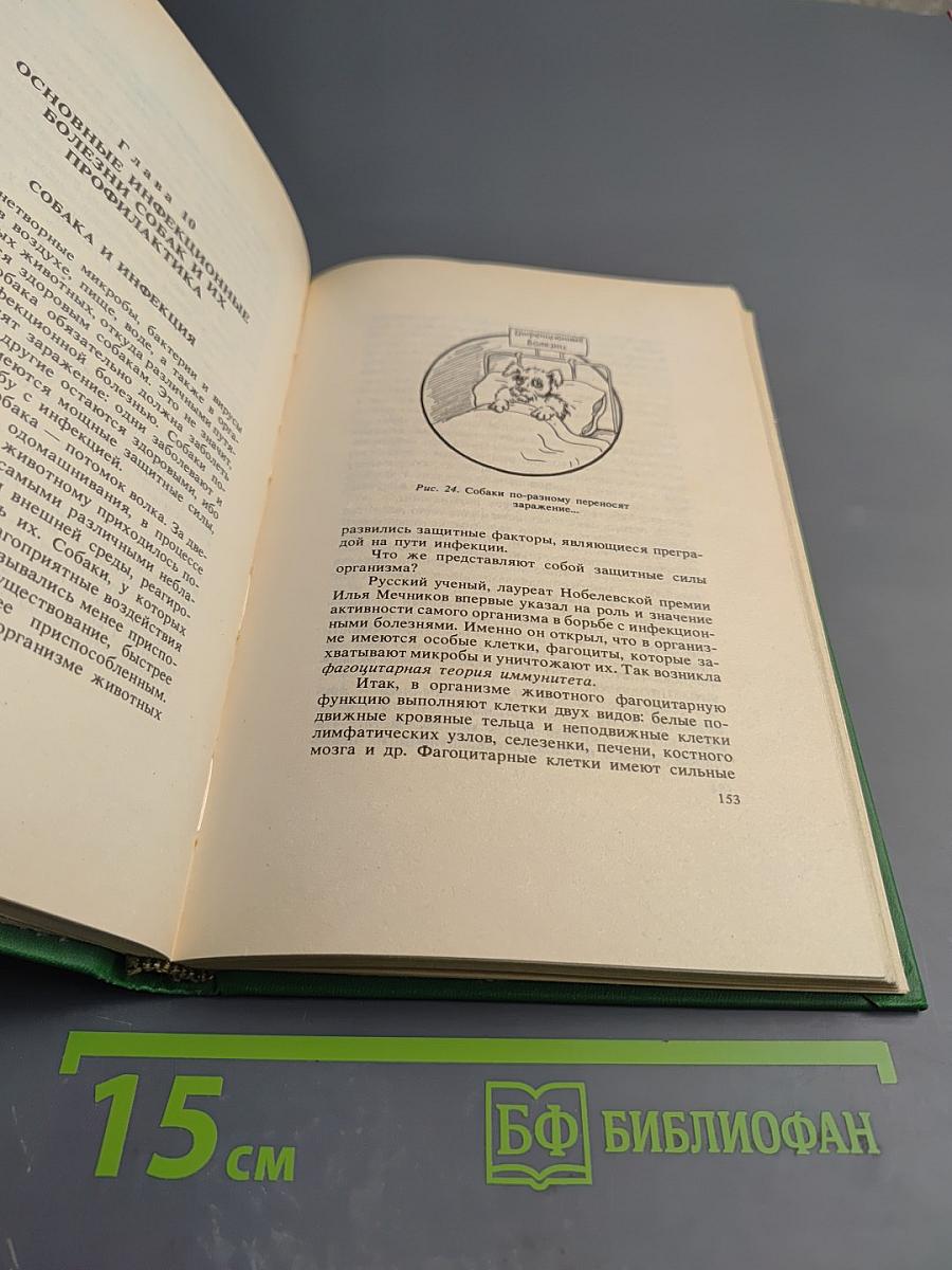 Здоровье вашей собаки