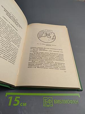 Здоровье вашей собаки