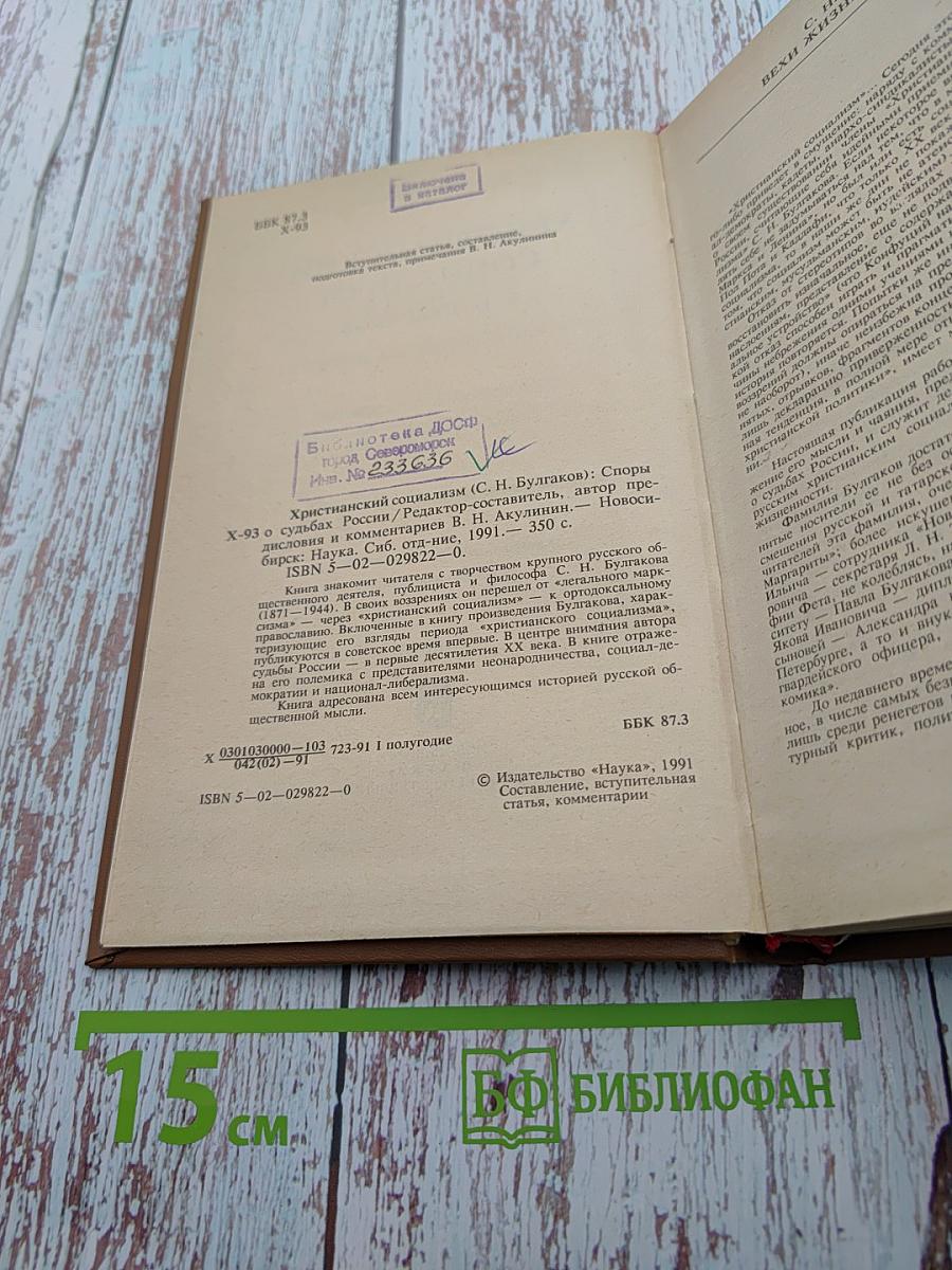 Христианский социализм: Споры о судьбах России