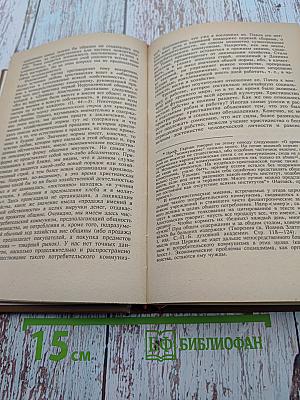 Христианский социализм: Споры о судьбах России