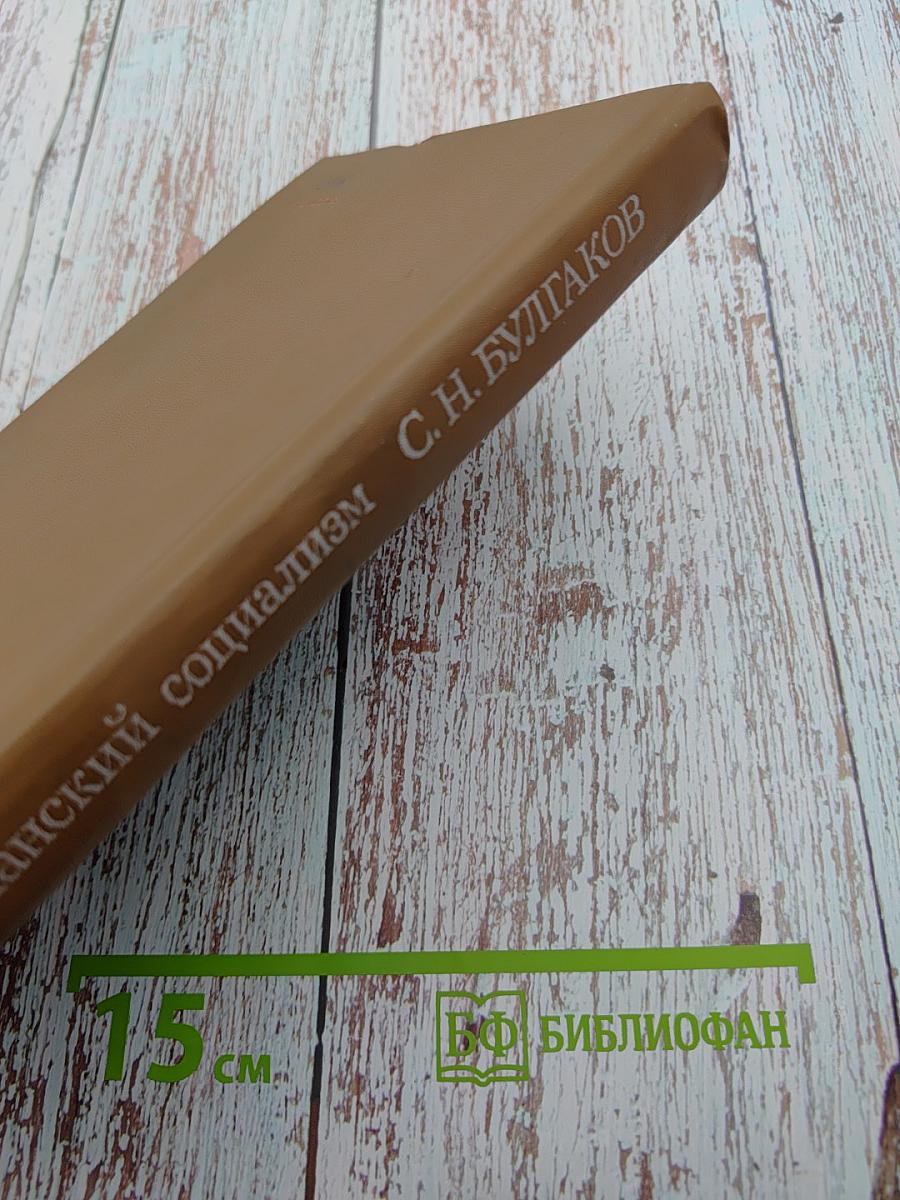 Христианский социализм: Споры о судьбах России