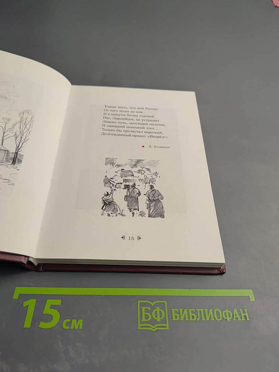 Стражи России