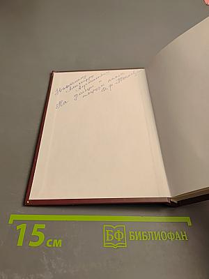 Стражи России