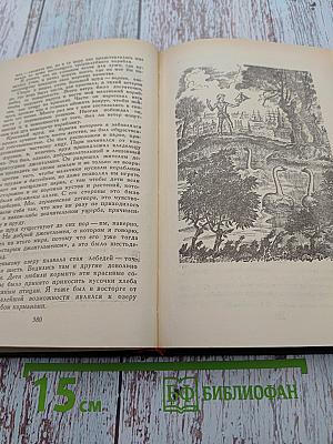 Оцеола, вождь семинолов. Морской волчонок