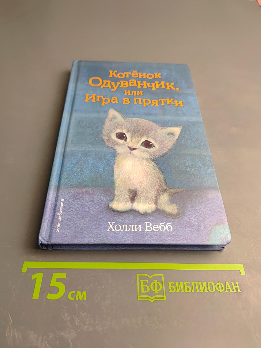 Котёнок Одуванчик, или Игра в прятки