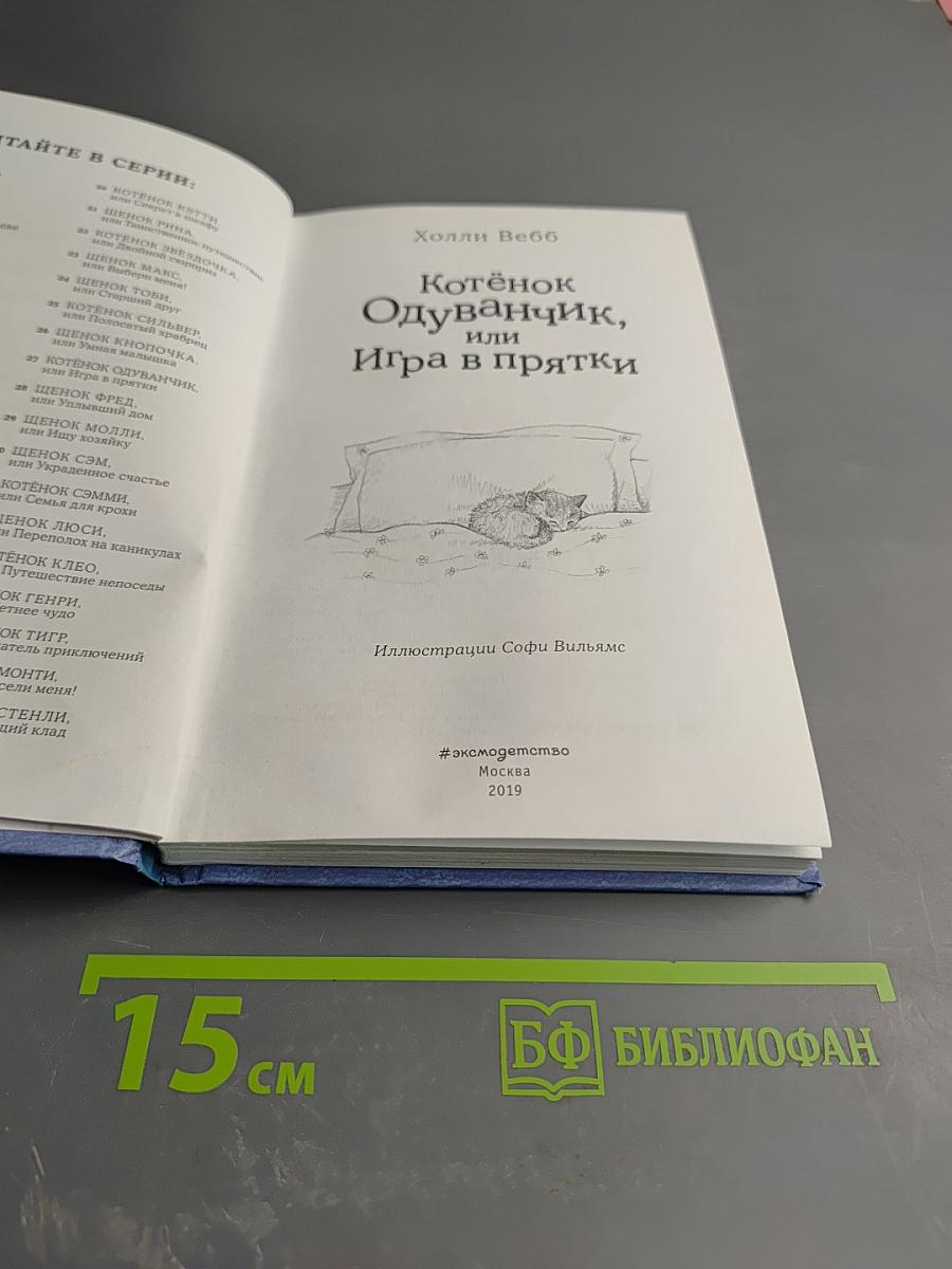 Котёнок Одуванчик, или Игра в прятки