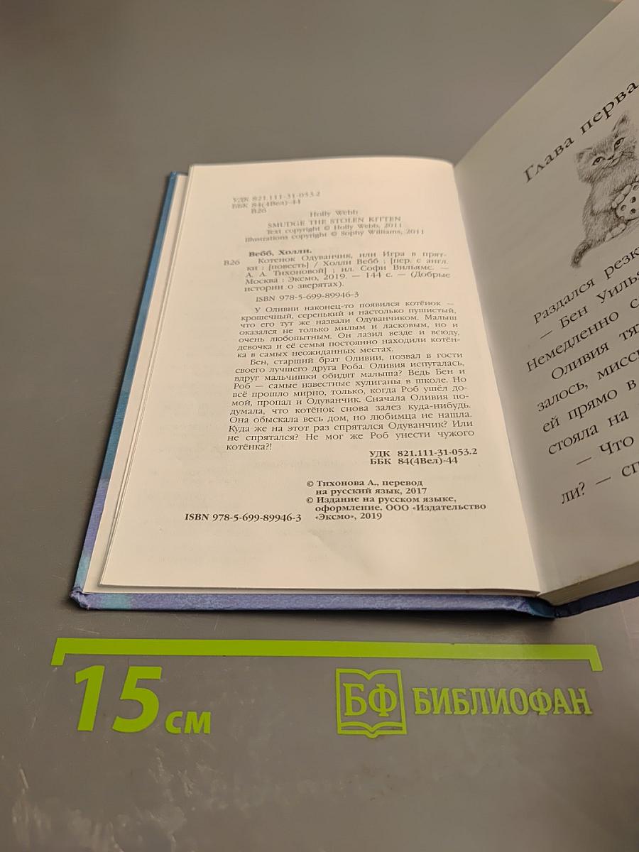 Котёнок Одуванчик, или Игра в прятки