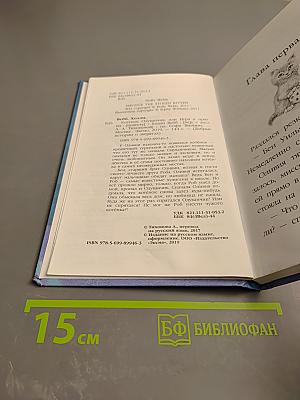 Котёнок Одуванчик, или Игра в прятки