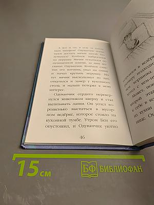 Котёнок Одуванчик, или Игра в прятки