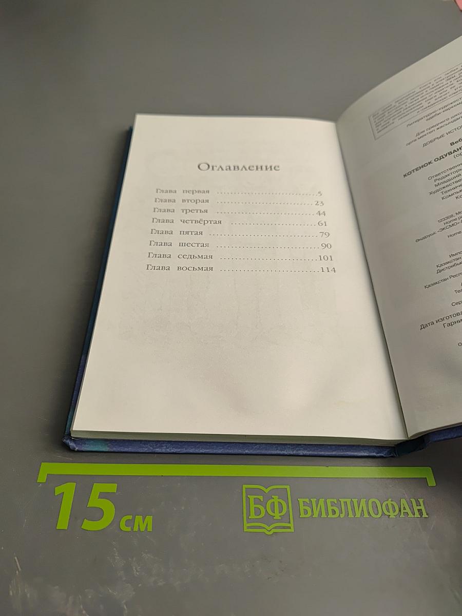 Котёнок Одуванчик, или Игра в прятки