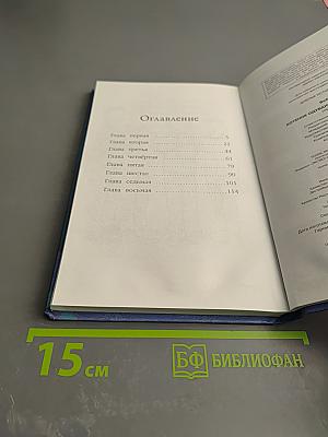 Котёнок Одуванчик, или Игра в прятки