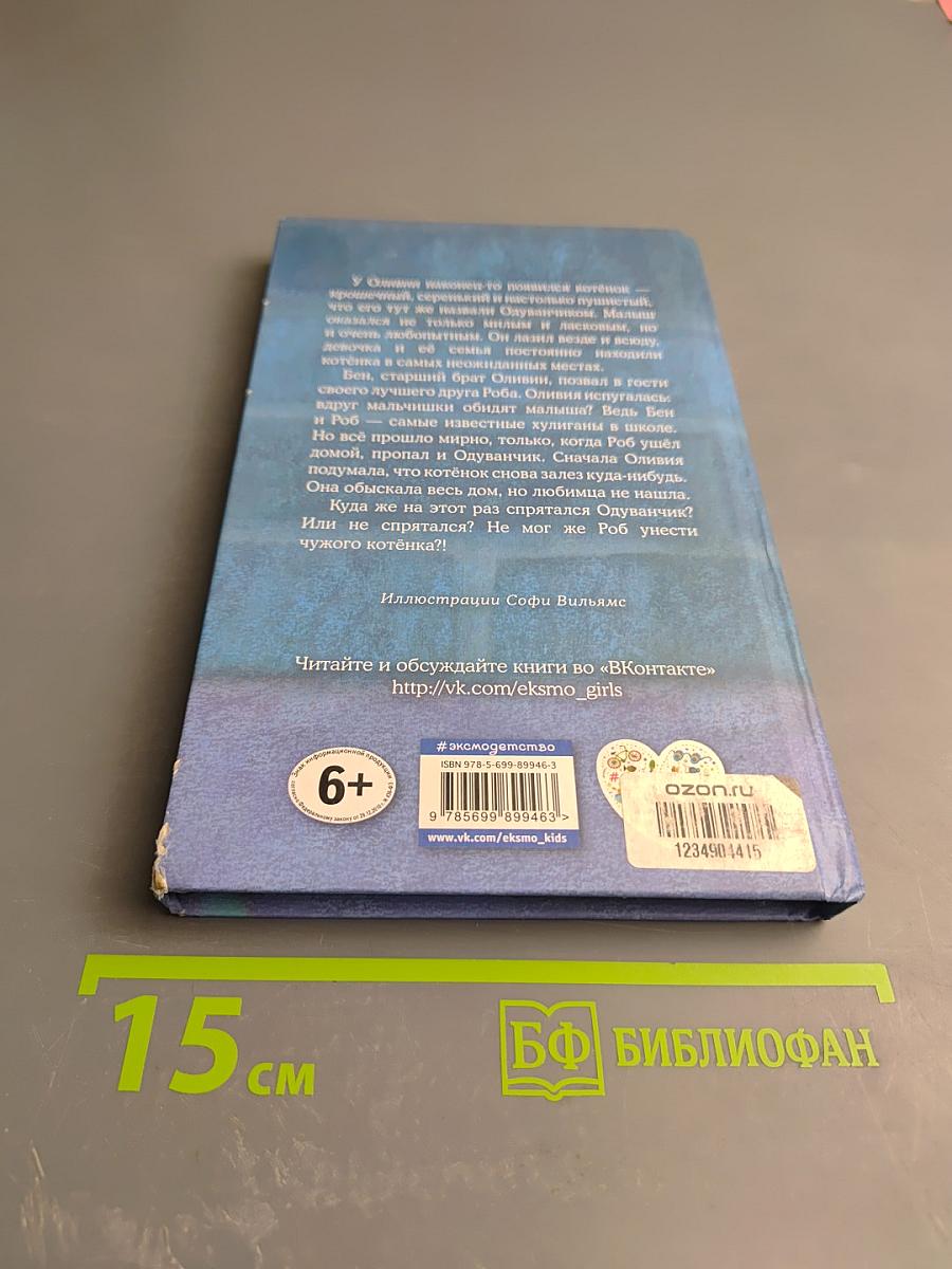 Котёнок Одуванчик, или Игра в прятки