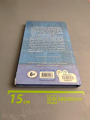 Котёнок Одуванчик, или Игра в прятки