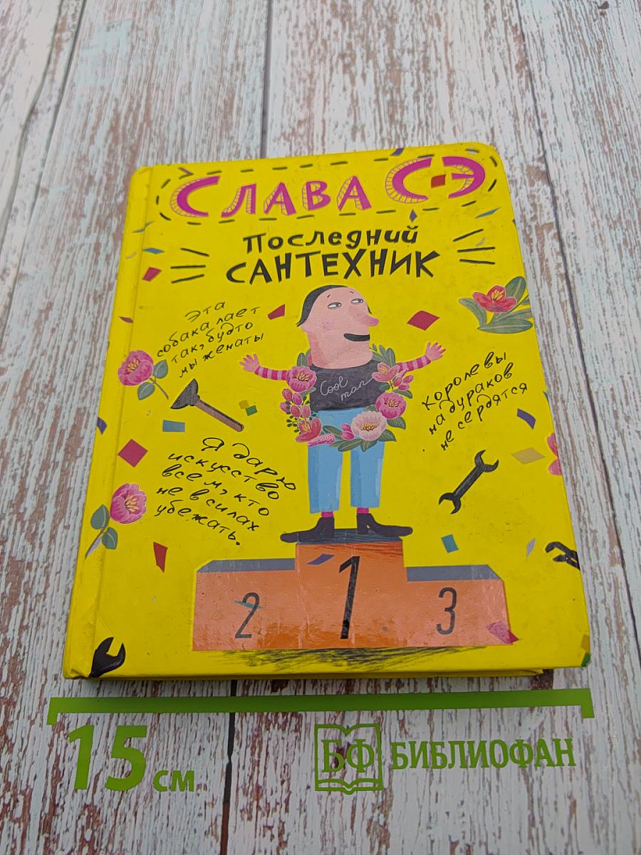 Последний сантехник