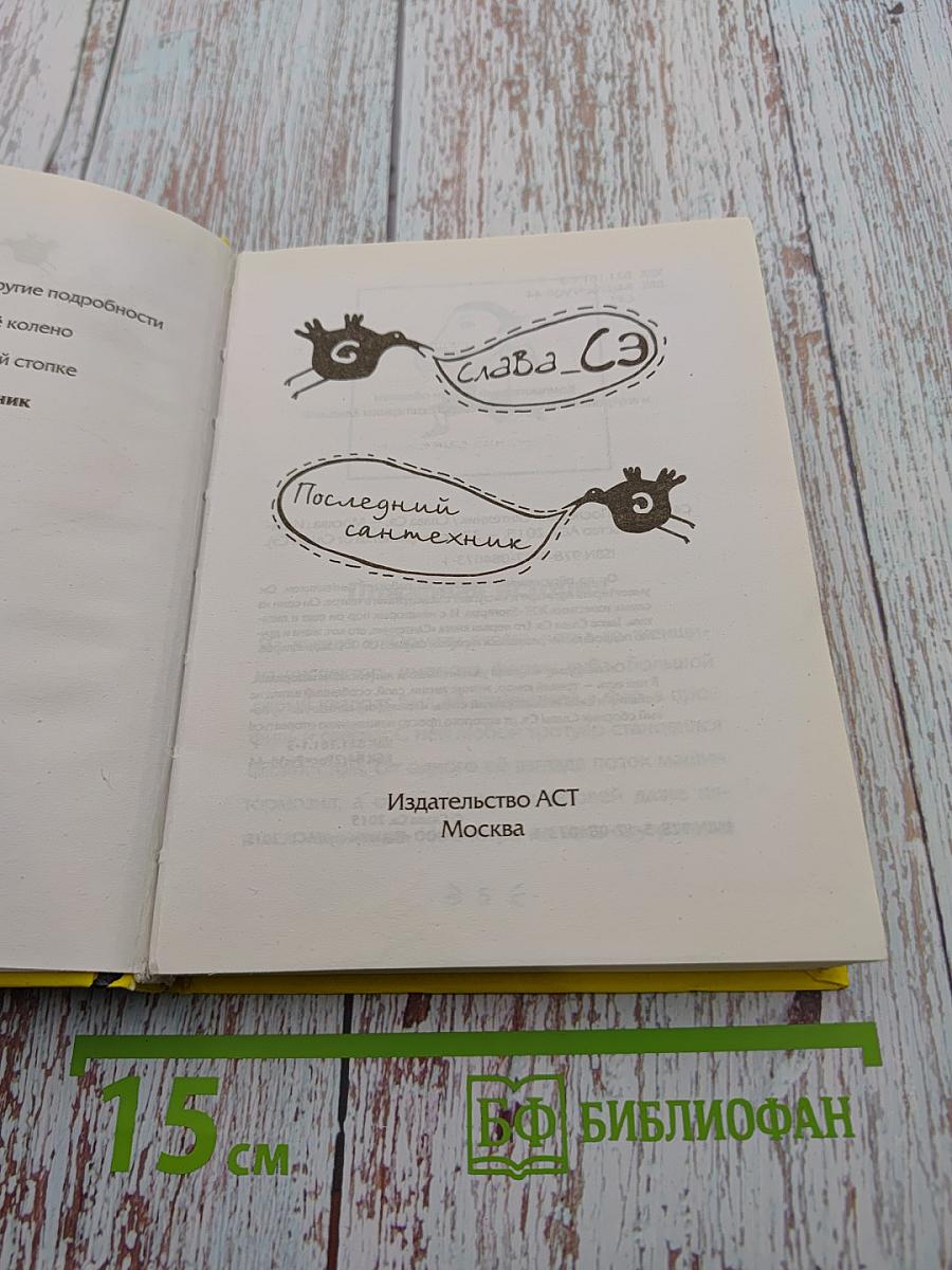 Последний сантехник