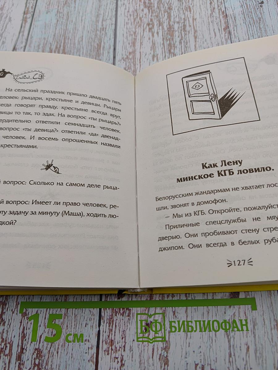 Последний сантехник