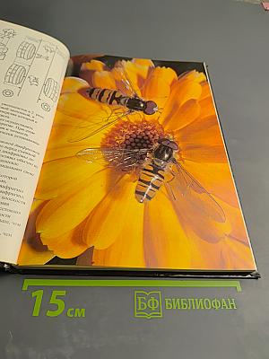 Фотографирование живой природы