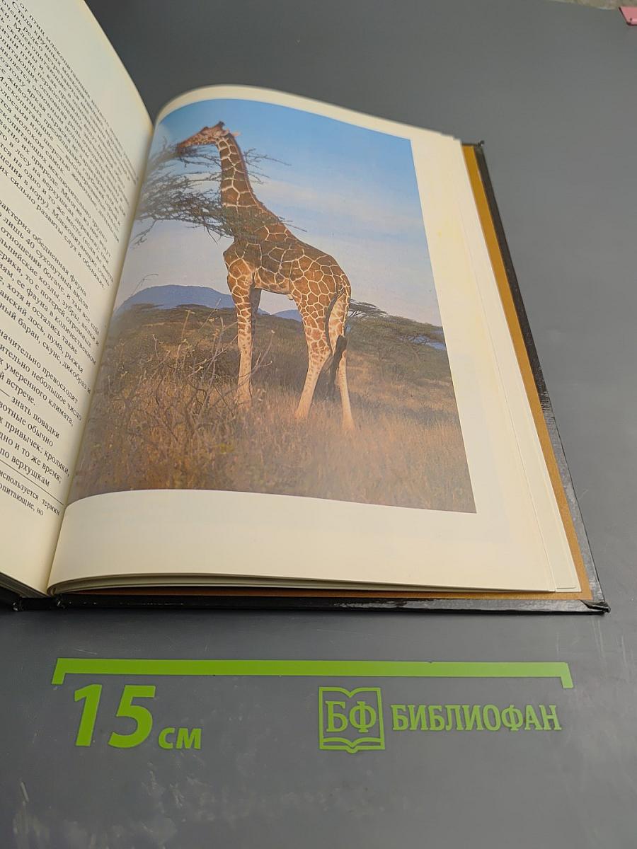 Фотографирование живой природы