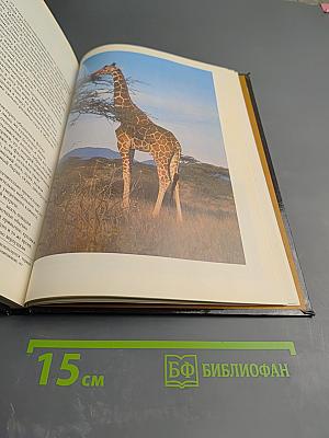 Фотографирование живой природы