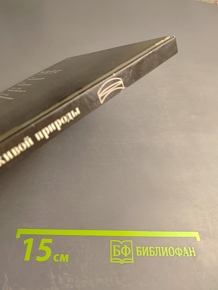 Фотографирование живой природы