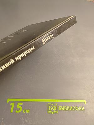 Фотографирование живой природы