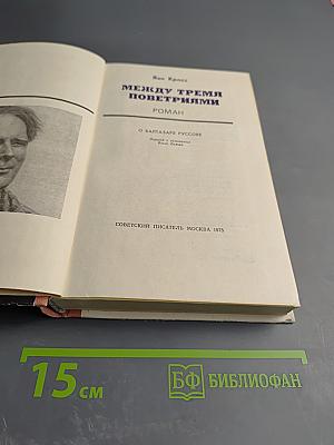 Между тремя поветриями